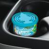 imageLITTLE TREES Car Air Freshener Fiber Can Provides a LongLasting Scent for Auto or Home Recycled Fiber New Car 4 Air FreshenersCaribbean Colada