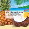 imageLITTLE TREES Car Air Freshener Fiber Can Provides a LongLasting Scent for Auto or Home Recycled Fiber New Car 4 Air FreshenersCaribbean Colada