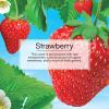 imageLITTLE TREES Car Air Freshener SPRAY Provides a LongLasting Scent for Auto or Home Onthego Freshness Black Ice 6 Air FreshenersStrawberry