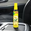 imageLITTLE TREES Car Air Freshener SPRAY Provides a LongLasting Scent for Auto or Home Onthego Freshness Black Ice 6 Air FreshenersVanillaroma
