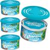 imageLITTLE TREES Car Air Freshener Fiber Can Provides a LongLasting Scent for Auto or Home Recycled Fiber New Car 4 Air FreshenersCaribbean Colada