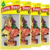 imageLittle Trees Car Air Freshener  Hanging Tree Provides Long Lasting Scent for Auto and Home  Crisp Autumn Air 24 Air Fresheners